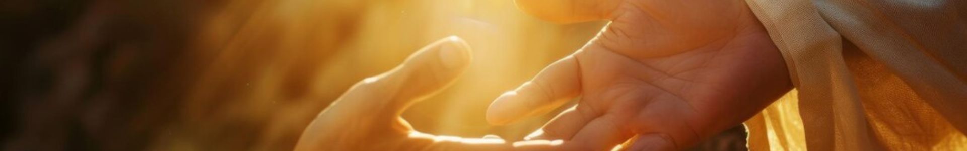 banner semana 3