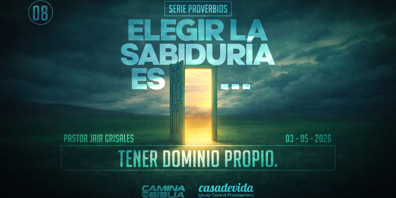 Domingo #8